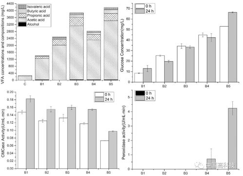 中科院科學(xué)家提出新方法 前沿科技助力提升纖維素生物質(zhì)厭氧發(fā)酵沼氣產(chǎn)量與生物質(zhì)能資源數(shù)據(jù)庫信息系統(tǒng)
